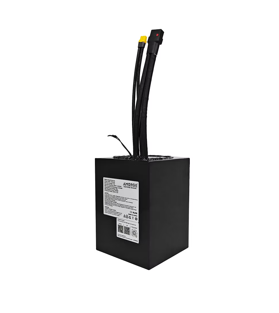 AMORGE 72V 20AH 125AMP Continuous 175AMP Peak Battery